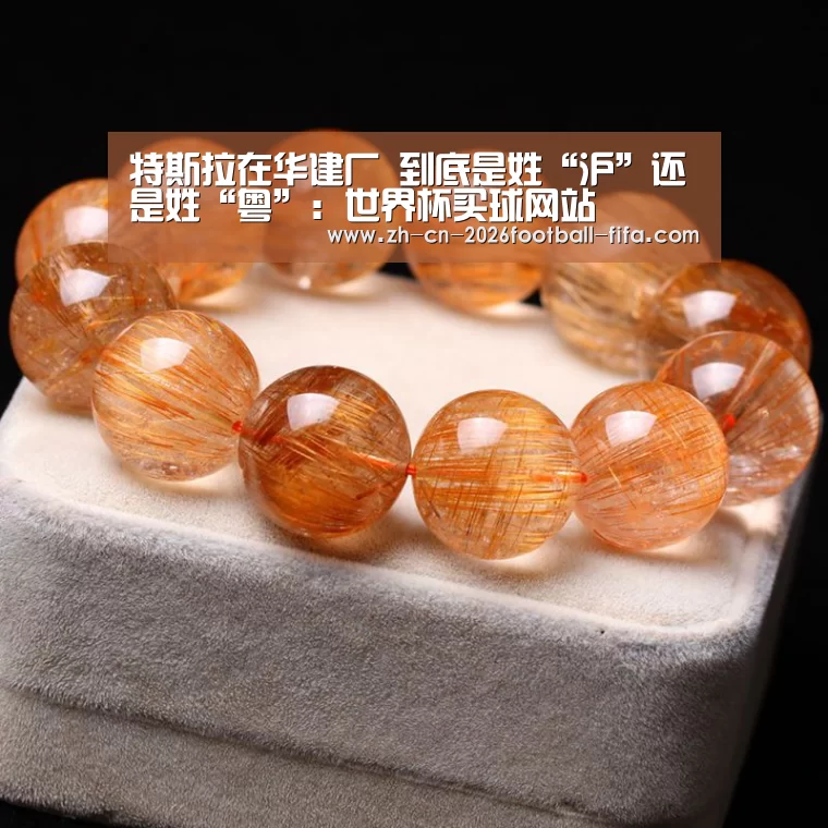 特斯拉在华建厂 到底是姓“沪”还是姓“粤”:世界杯买球网站(图3) 世界杯买球网站