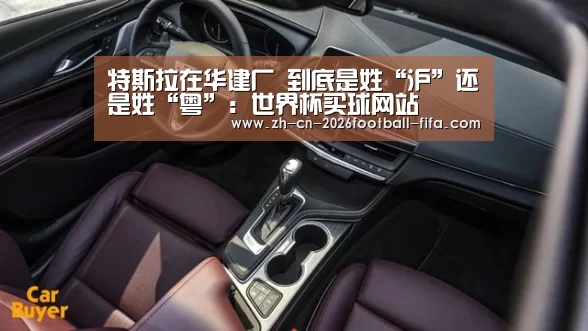 特斯拉在华建厂 到底是姓“沪”还是姓“粤”：世界杯买球网站