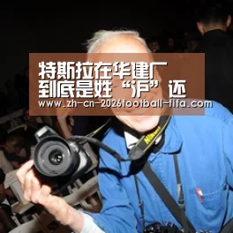 特斯拉在华建厂 到底是姓“沪”还是姓“粤”:世界杯买球网站(图2) 世界杯买球
