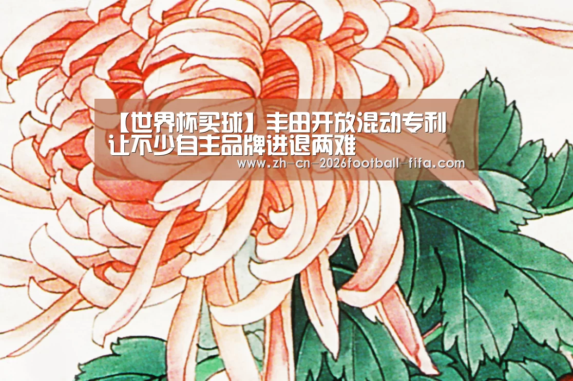 【世界杯买球】丰田开放混动专利 让不少自主品牌进退两难