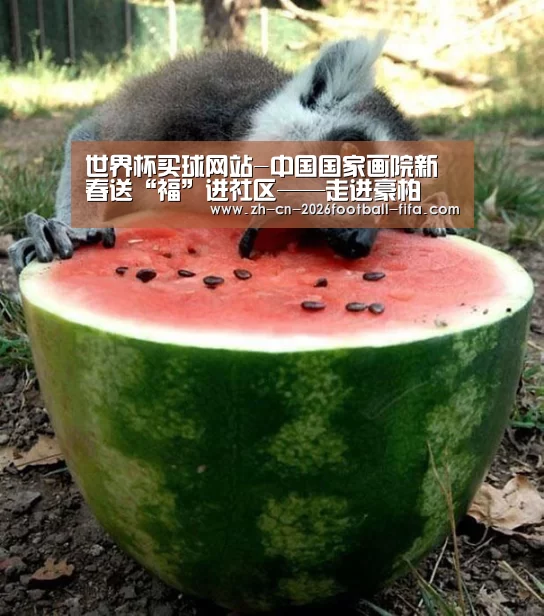 世界杯买球平台