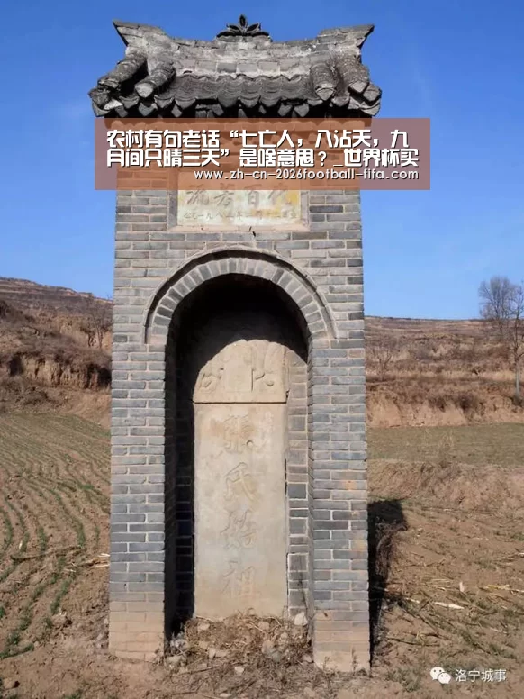 世界杯买球网站