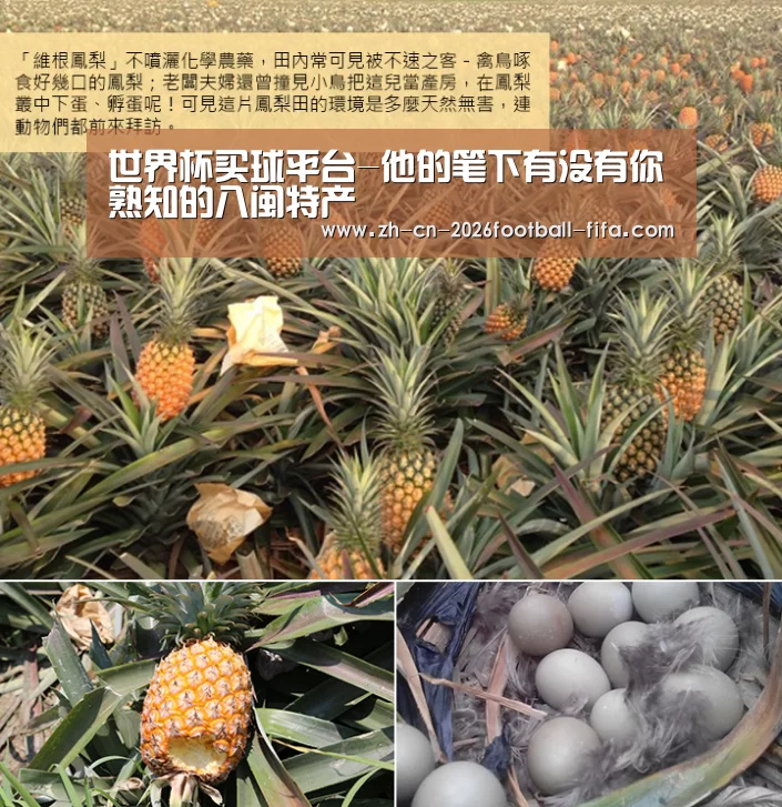 世界杯买球平台-他的笔下有没有你熟知的八闽特产