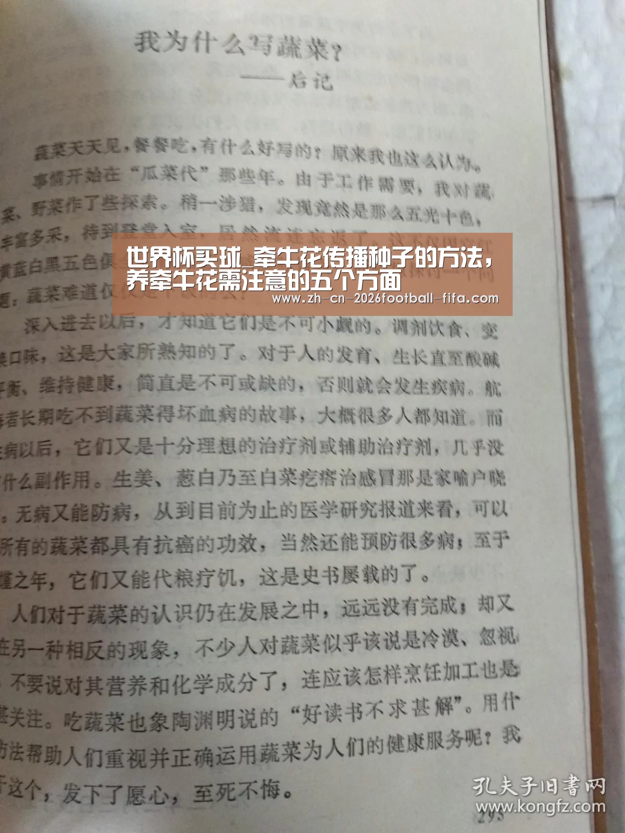 世界杯买球_牵牛花传播种子的方法,养牵牛花需注意的五个方面(图2) 世界杯买球平台